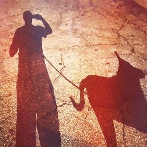 Meet your Posher, Allen